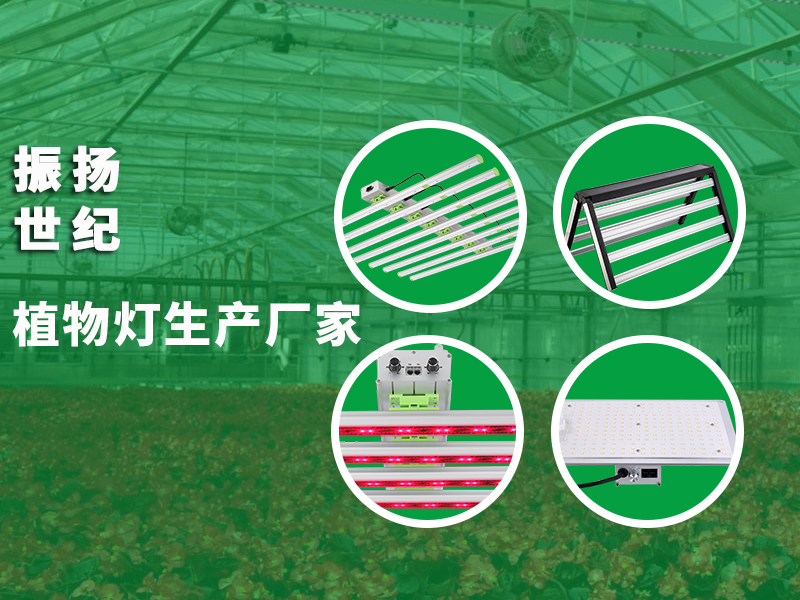 激光植物生长灯补光灯多少钱？效果怎么样？
