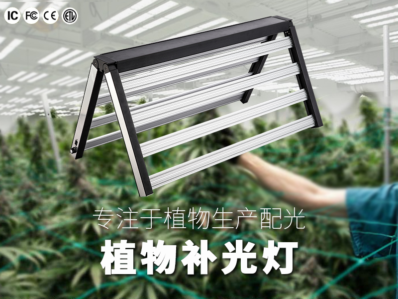 折叠多样化定制
