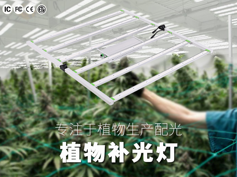 振扬世纪植物灯私模折叠款6爪