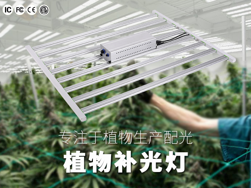 振扬世纪私模折叠8爪